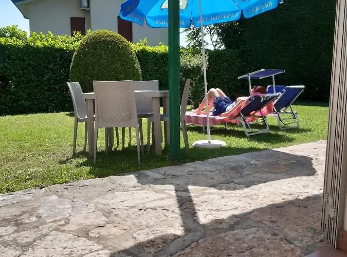 Collina Degli Olivi