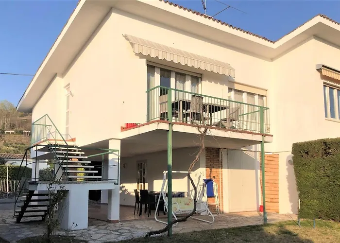Collina Degli Olivi