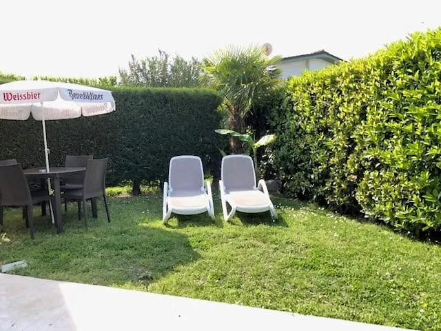 Collina Degli Olivi
